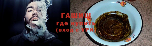 хмурый Аркадак