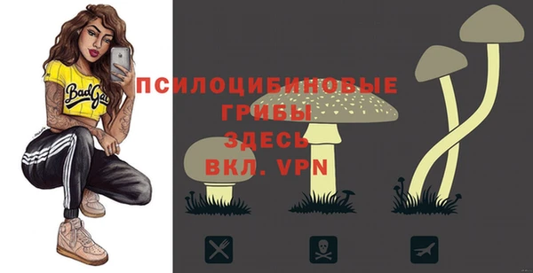 мет Нефтекумск