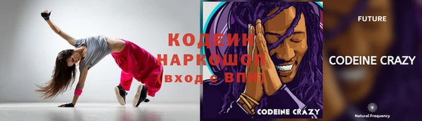 хмурый Аркадак