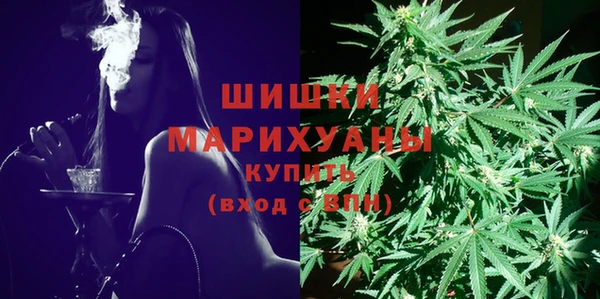 хмурый Аркадак