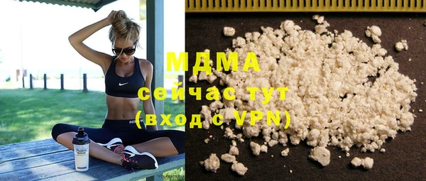 хмурый Аркадак