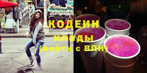 хмурый Аркадак