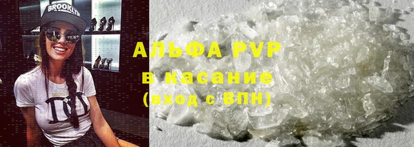 хмурый Аркадак