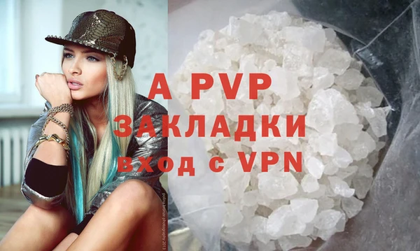 хмурый Аркадак