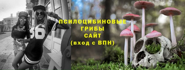 хмурый Аркадак