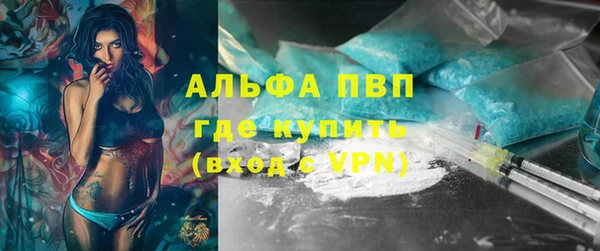 хмурый Аркадак