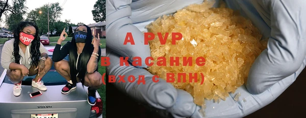 хмурый Аркадак