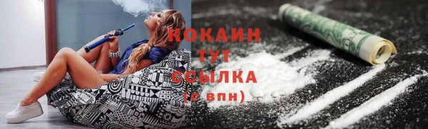 хмурый Аркадак