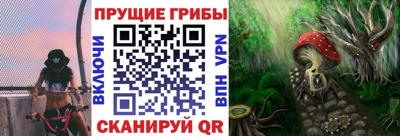 OMG зеркало  Сердобск  Галлюциногенные грибы прущие грибы 