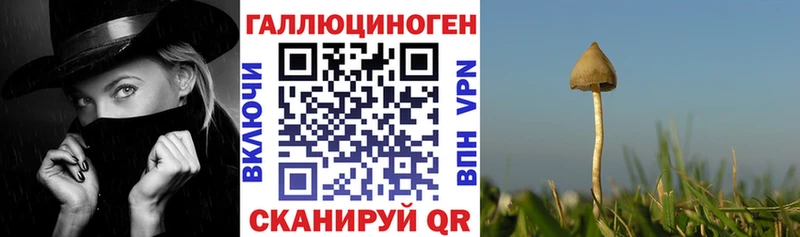 Псилоцибиновые грибы Cubensis Сердобск